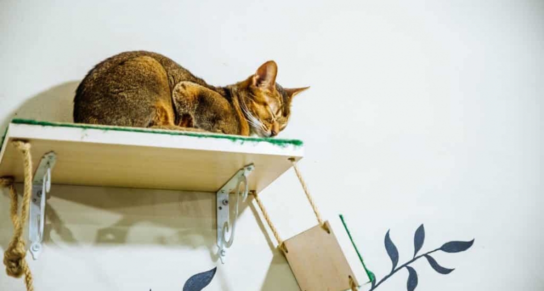 Can You Sleep in Your Room After House Painting?